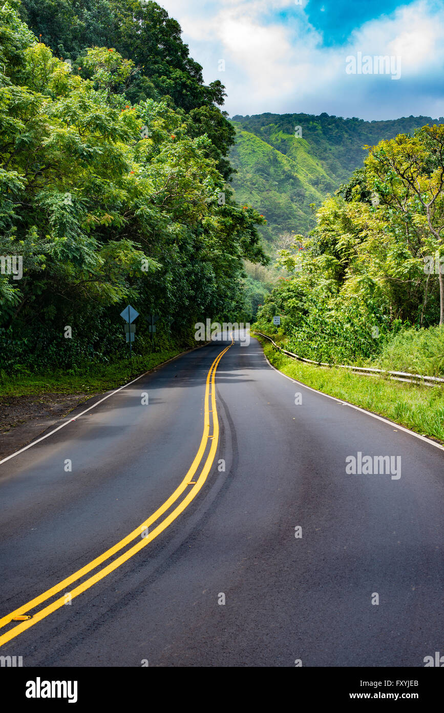 The Hana Highway curves through tropical forests as it traverses the east coast of the island of Maui, USA. Stock Photo