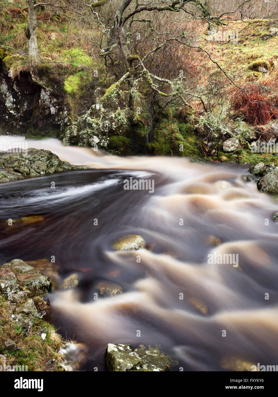 Linhope Burn near Linhope Spout in the Ingram Valley Northumberland National Park England Stock Photo