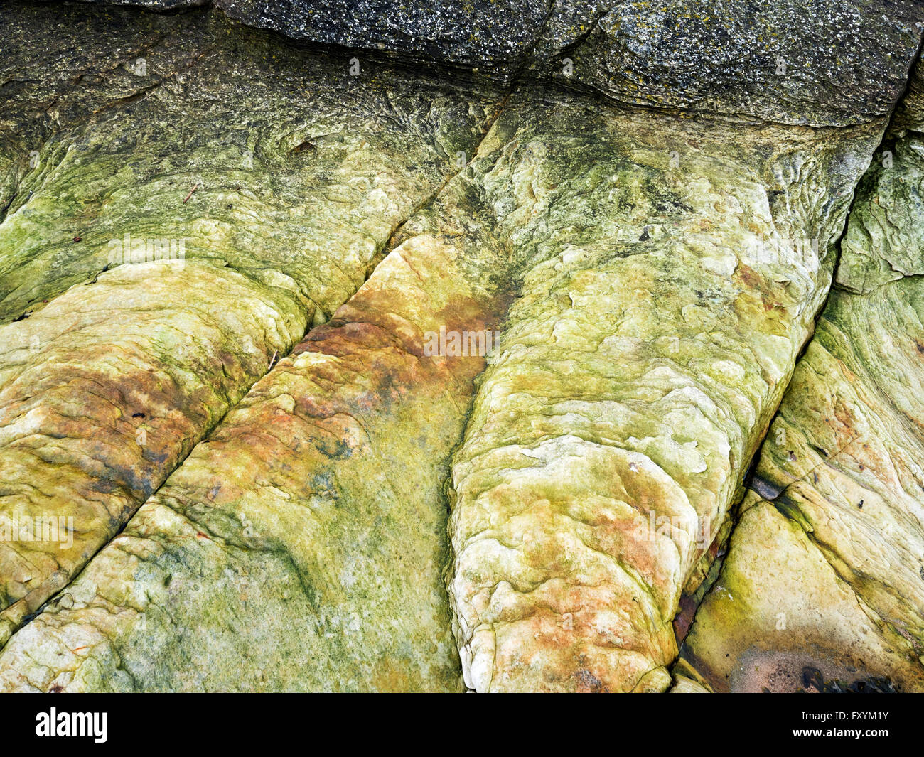 Rock Detail on Boulmer Beach Northumberland Coast England Stock Photo