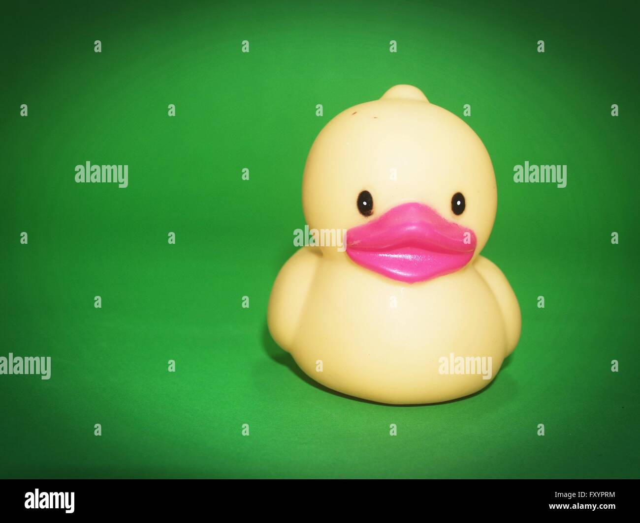 Yellow rubber duck Stock Photo Alamy