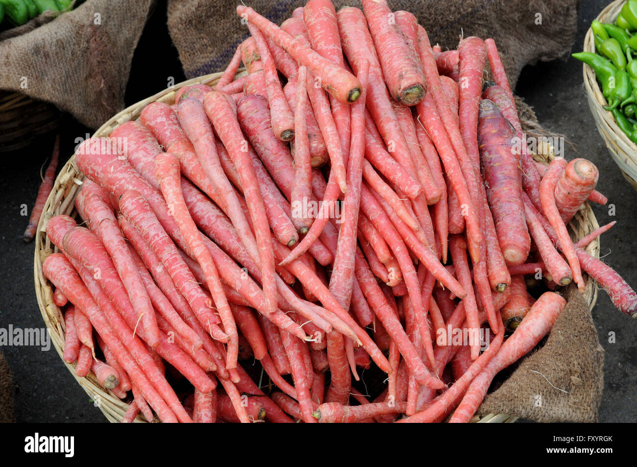 Indian carrots for sale at the vegetable market in Udaipur, Rajasthan