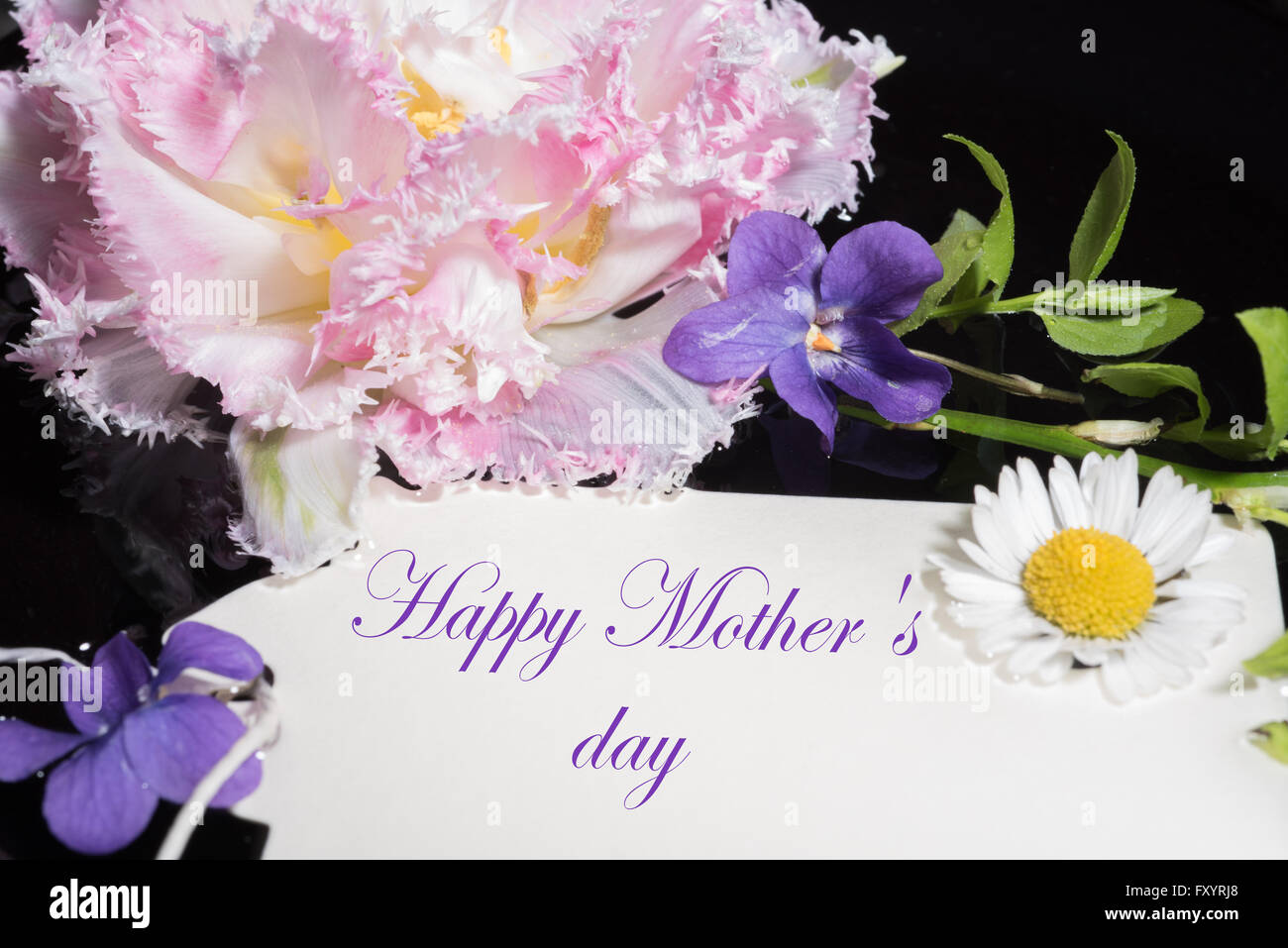 Tulip, violet and daisy with card happy mother's day Stock Photo - Alamy