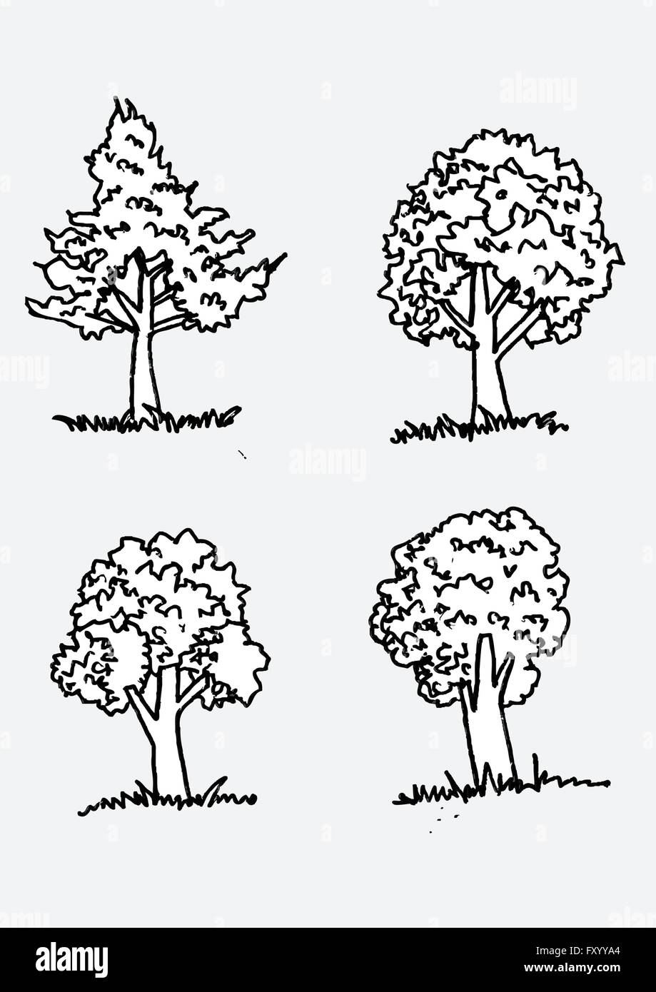 Set of trees with leaves Stock Vector Image & Art - Alamy