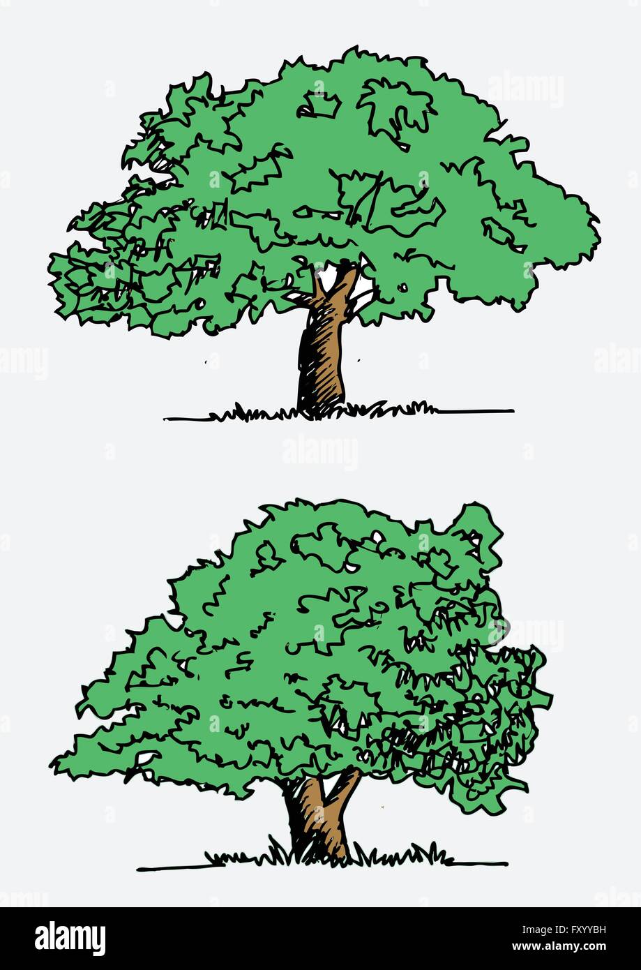 Set of trees with leaves Stock Vector Image & Art - Alamy