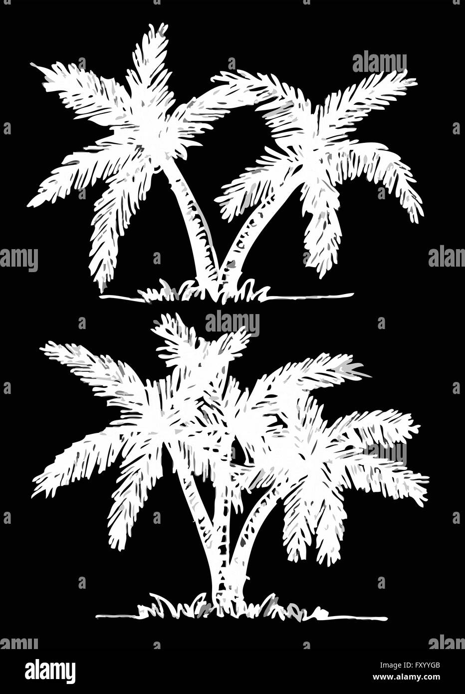 set of palm tree Tropical palm trees, black silhouettes background ...