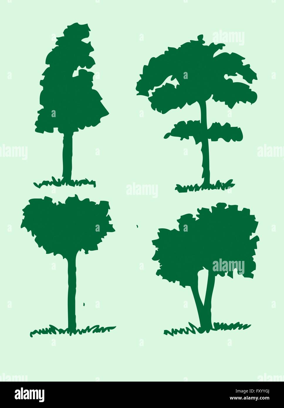 Set of trees with leaves Stock Vector Image & Art - Alamy