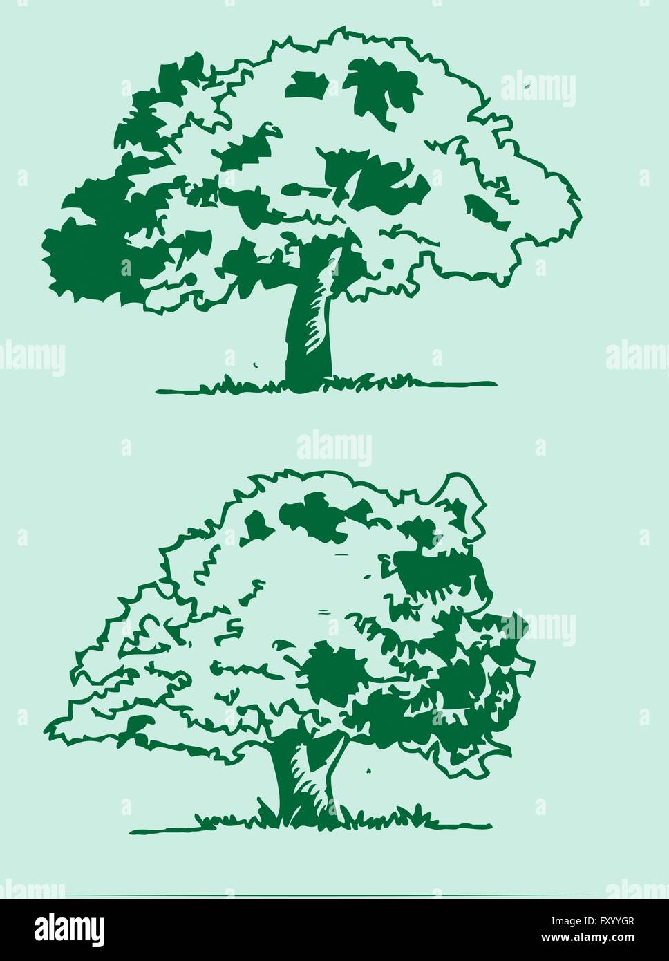 Set of trees with leaves Stock Vector Image & Art - Alamy