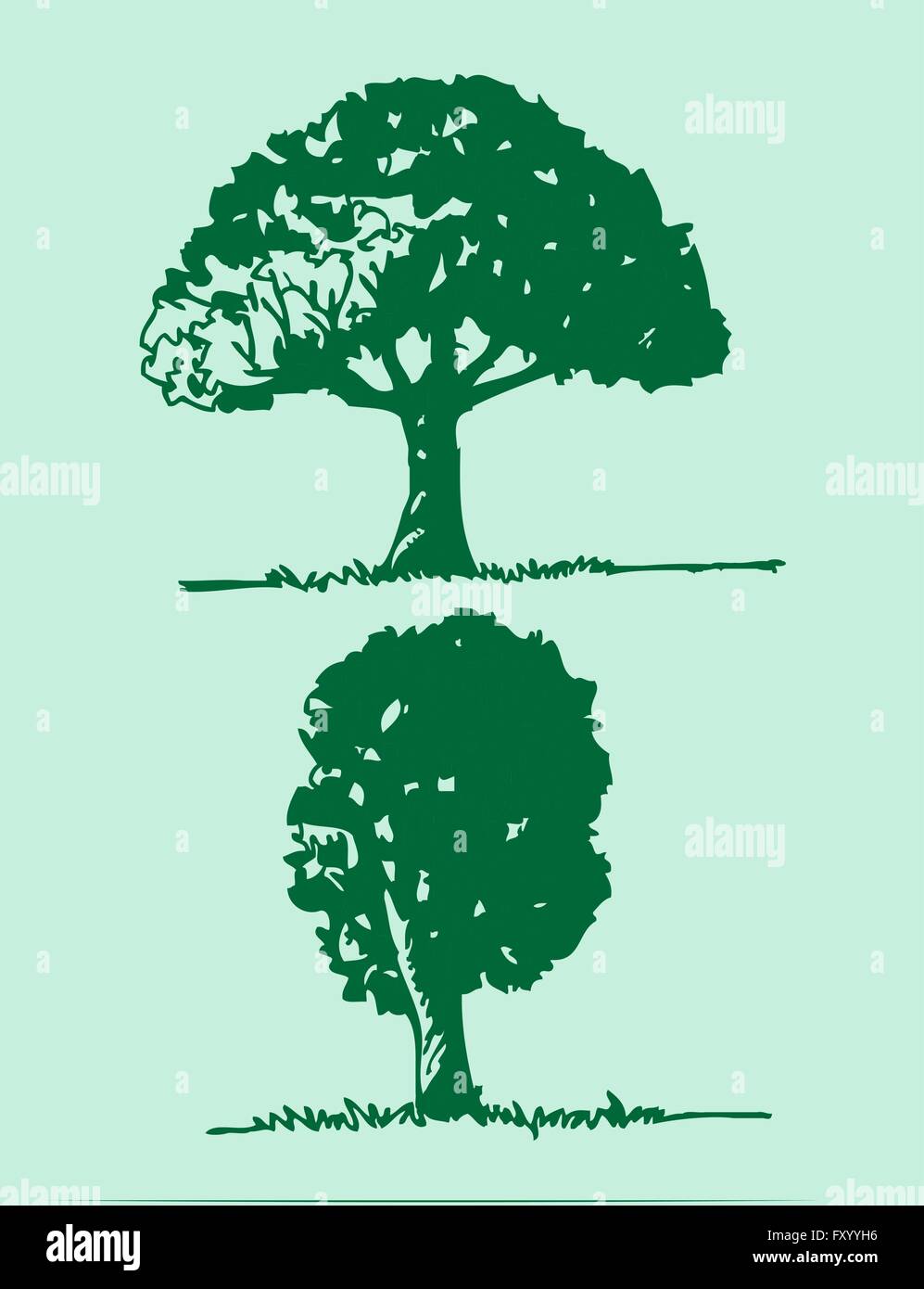 Set of trees with leaves Stock Vector Image & Art - Alamy