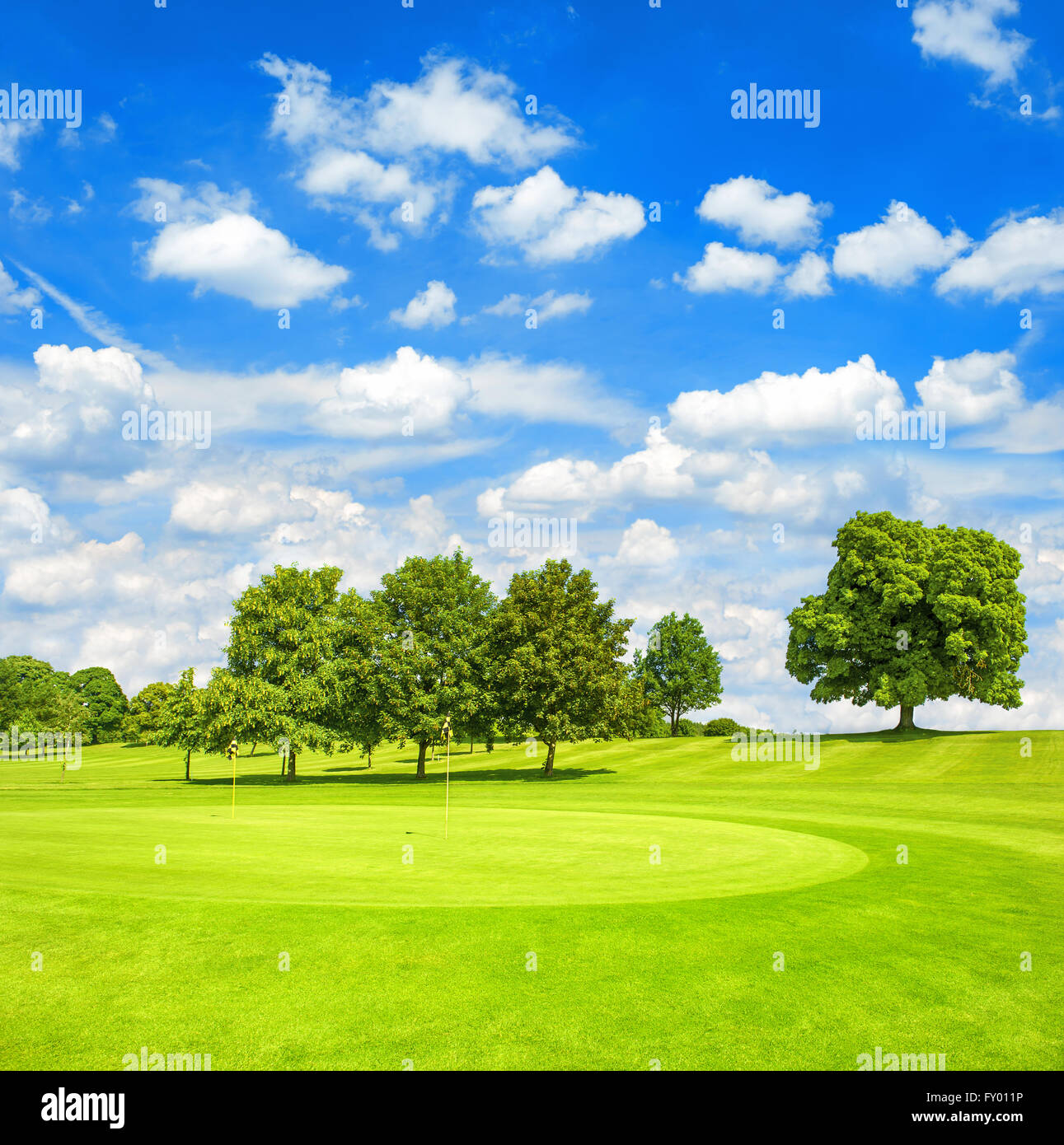 Golf course. Fairway. European green field with trees and blue sky landscape Stock Photo