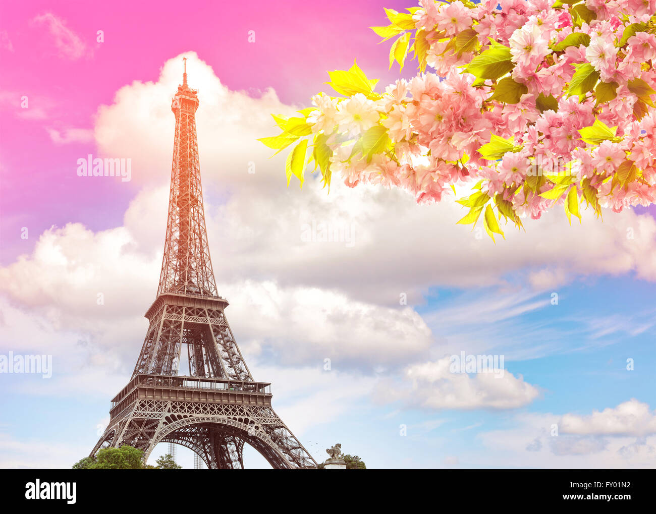 Eiffel Tower Paris against colorful blue sunset sky. Blossoming spring cherry tree. Vintage style toned picture Stock Photo