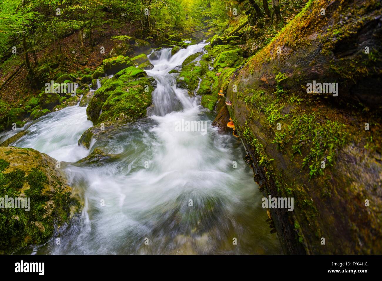 Fast water Zeleni vir near Skrad in Croatia Stock Photo
