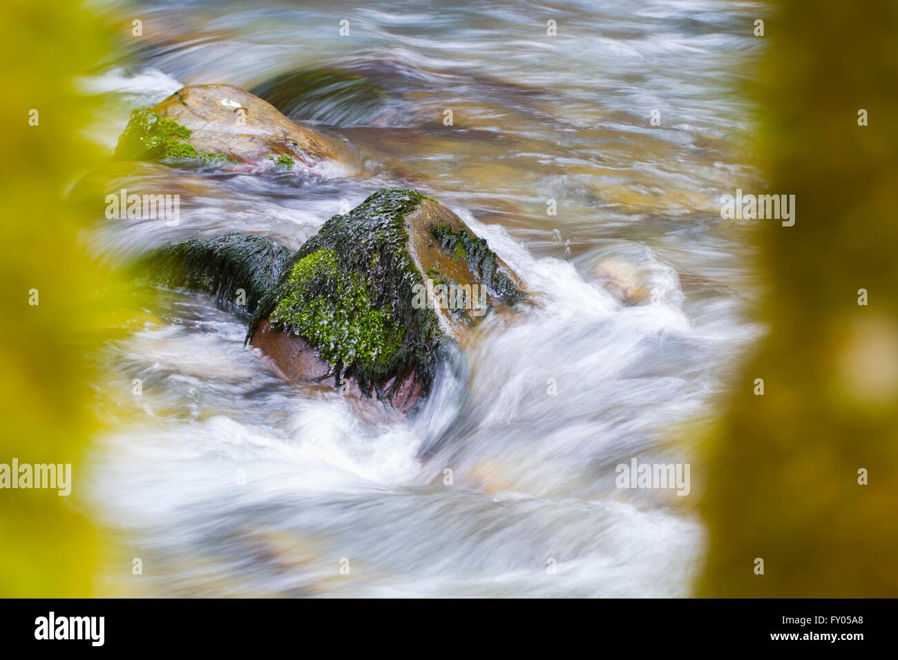 Flowing water and solid rock, Curak river, Zeleni vir in Croatia beautiful Stock Photo