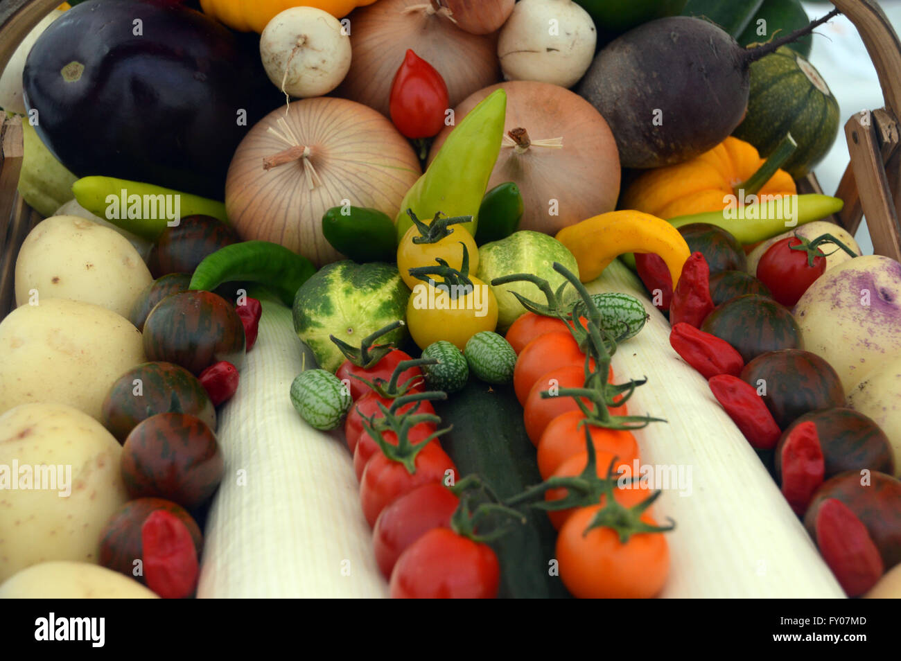 Fruits Exhibition Stock Photos & Fruits Exhibition Stock Images Alamy