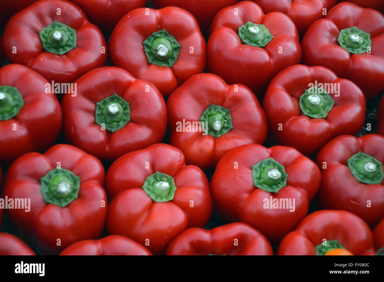 Five bell peppers hi-res stock photography and images - Alamy
