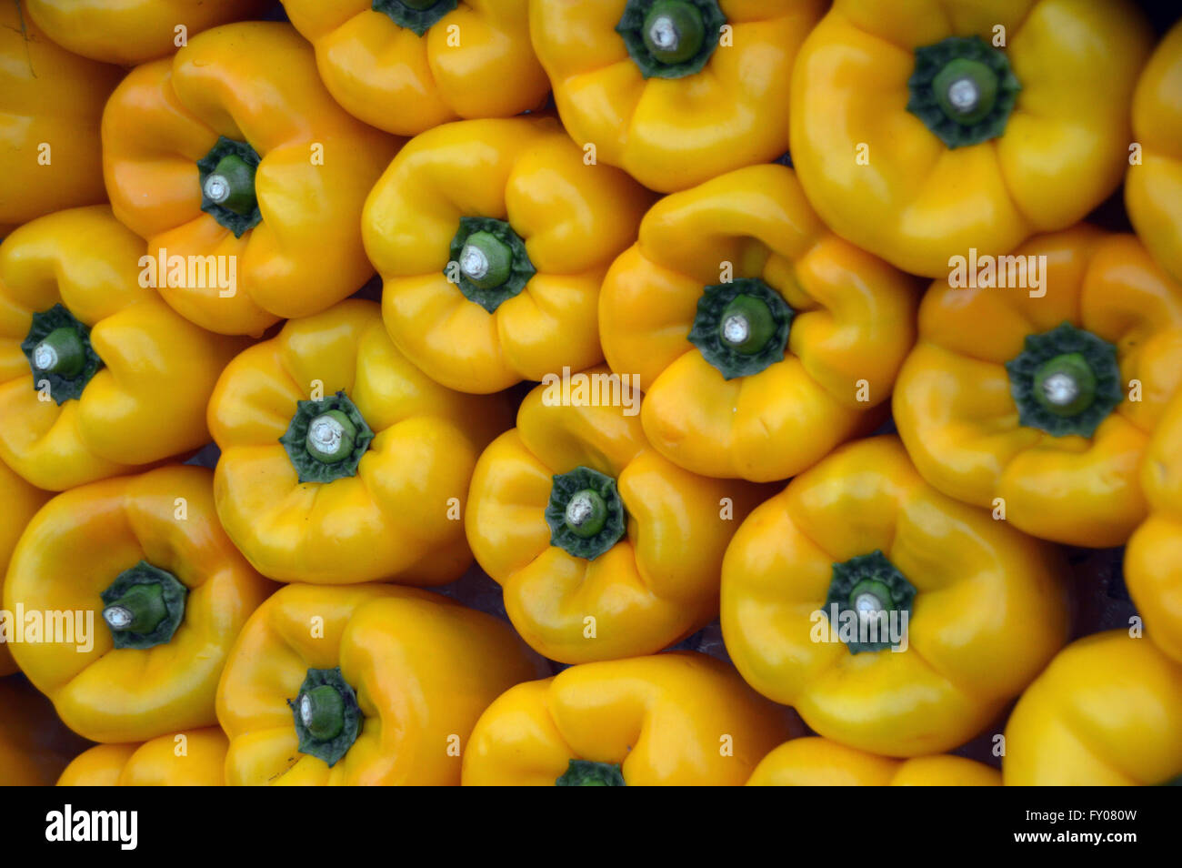 The Tops of Yellow Bell Peppers Displayed on Vegetable Cart at the Southport Autumn Flower Show. Lancashire UK. Stock Photo