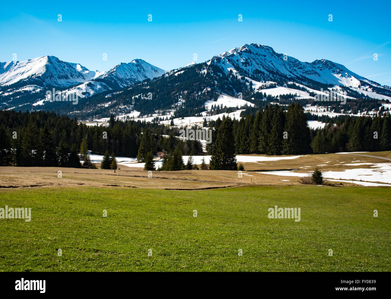 Idyllic landscape in the Alps with fresh green meadows Stock Photo - Alamy