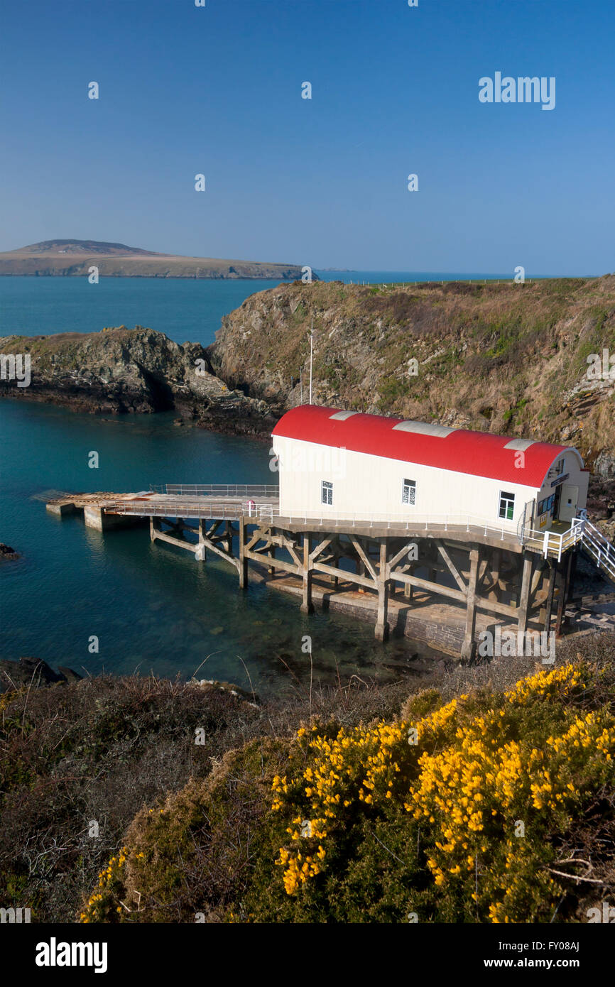 Porth Stinian St Justinian's Old lifeboat station Ramsey Sound in spring Near St David's Pembrokeshire Wales UK Stock Photo