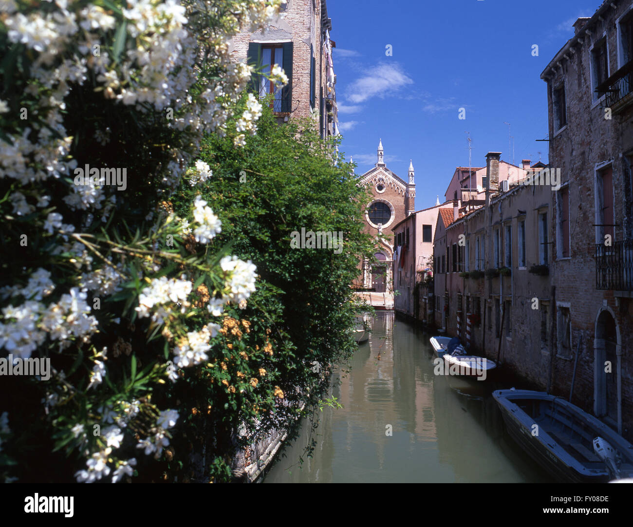 Madonna dell'Orto church reflected in canal with flowers in foreground Cannaregio sestier Venice Veneto Italy Stock Photo
