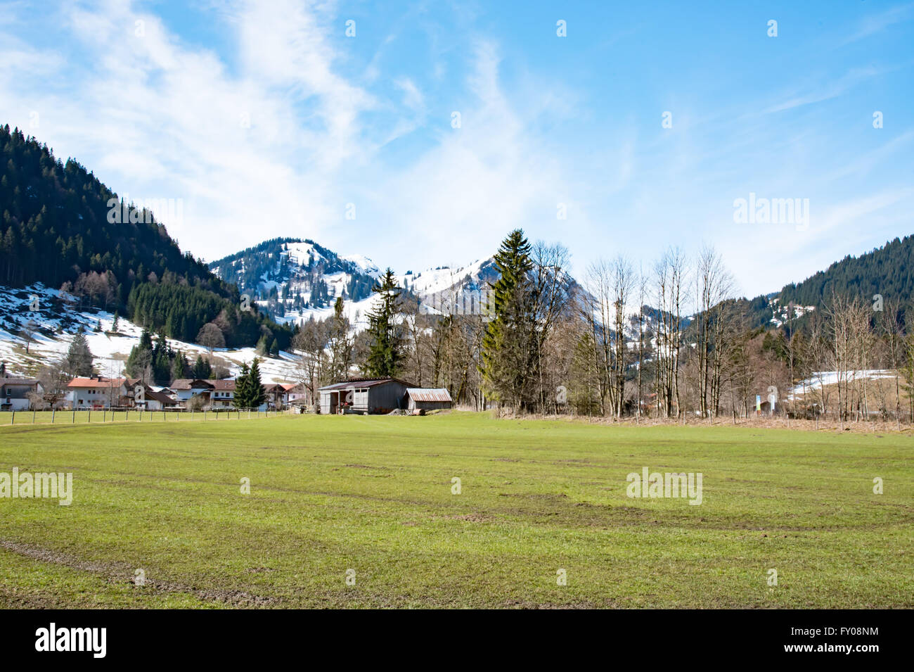 Idyllic landscape in the Alps with fresh green meadows Stock Photo - Alamy