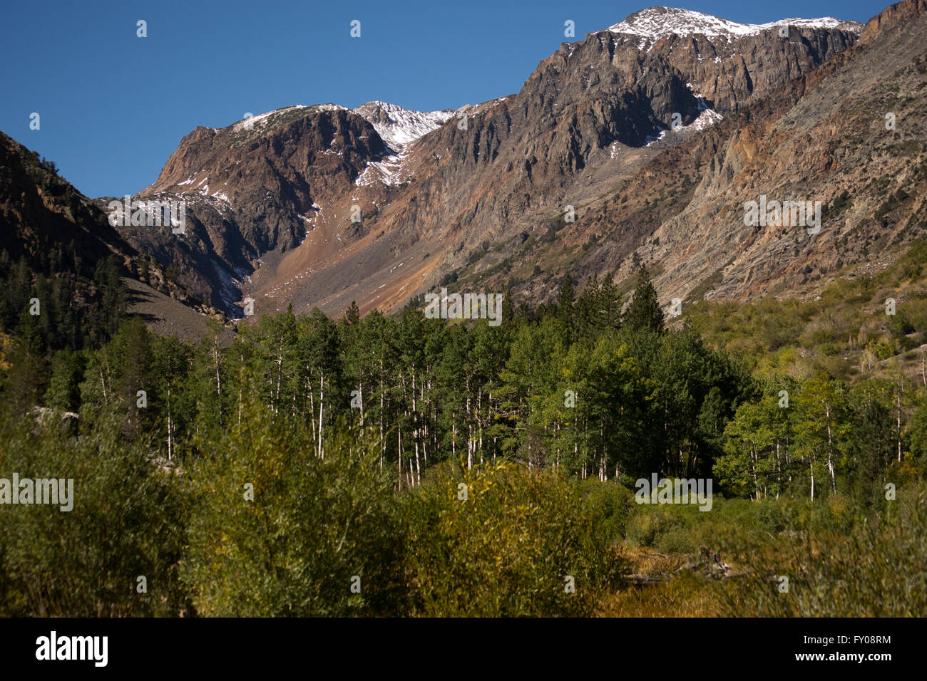 Lundy Canyon in the Eastern Sierra's on a fall day with snow capped mountains. Stock Photo