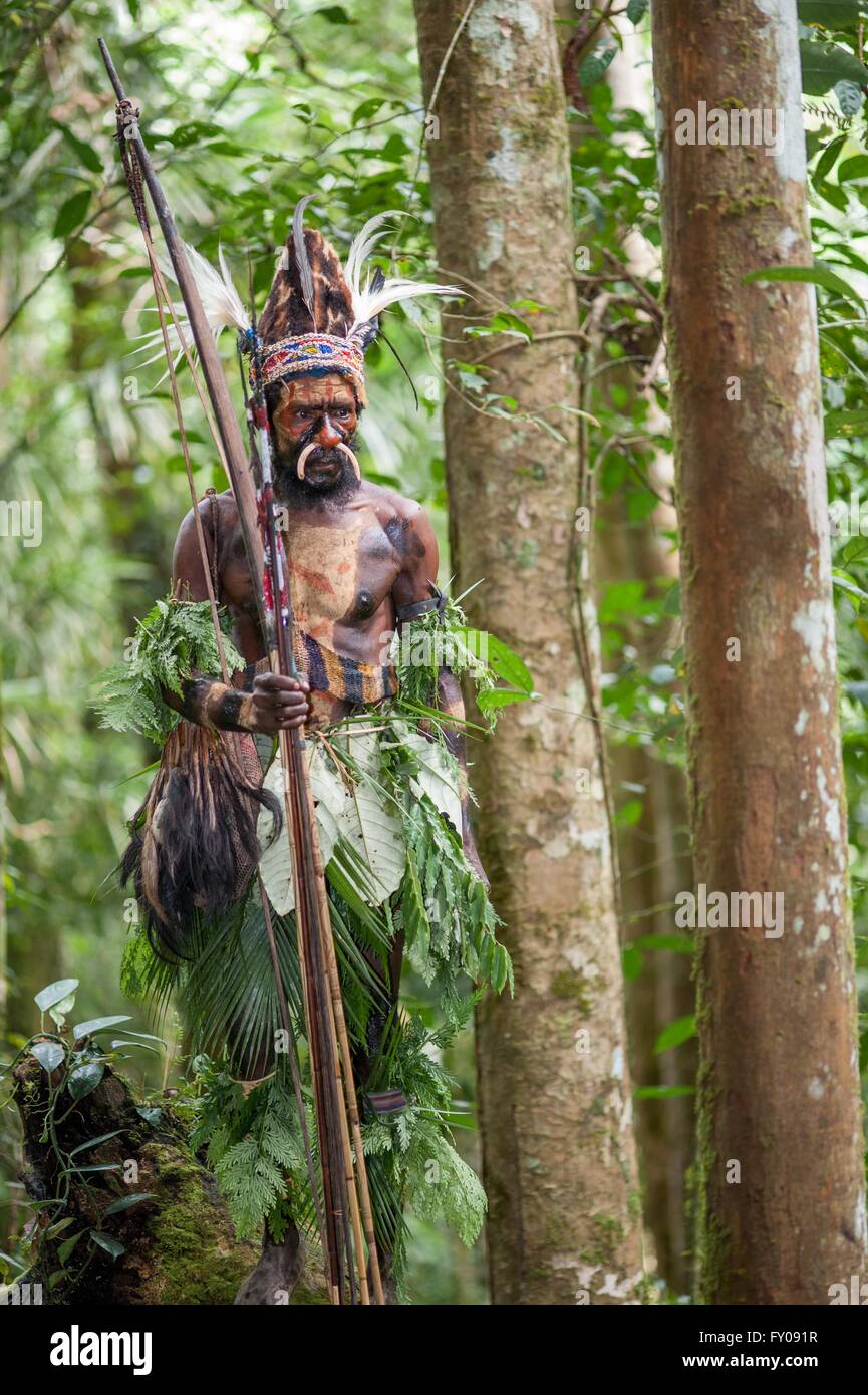 The warrior of a Papuan tribe of Yafi Stock Photo