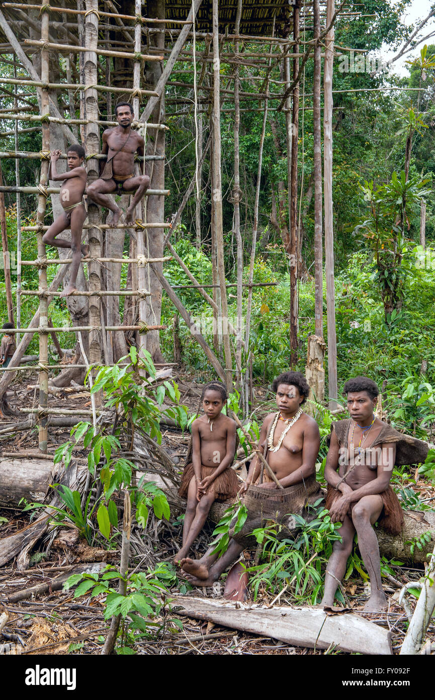 ONNI VILLAGE, NEW GUINEA, INDONESIA - JUNY 24: Korowai tribe people at a ladder to the Traditional Koroway house perched in a tr Stock Photo