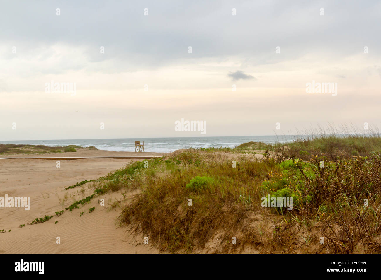 Sun rising over sand dunes at South Padre Island, Tx. Stock Photo