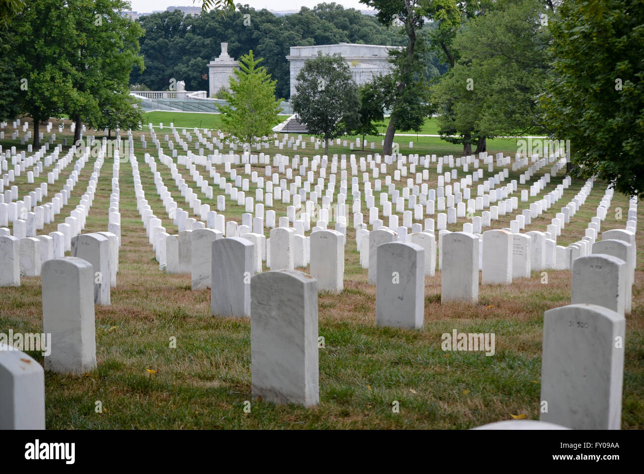 View of Headstones From Top of a Hill, Arlington National Cemetery, Virginia, USA Stock Photo