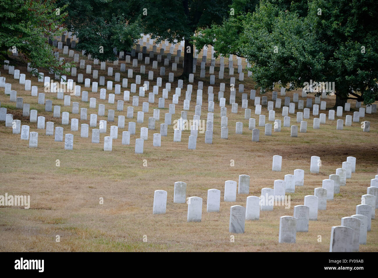 View of Headstones From Top of a Hill, Arlington National Cemetery, Virginia, USA Stock Photo