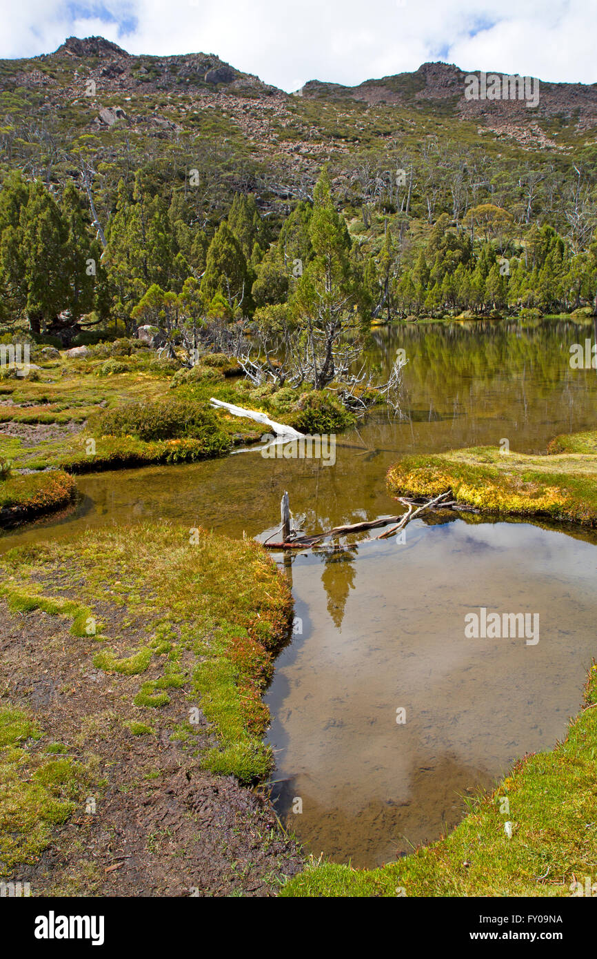 Pool of Bethesda and the Temple in Walls of Jerusalem National Park Stock Photo