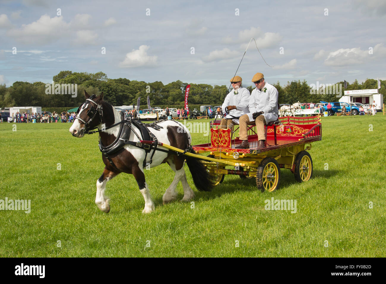 Heavy horse and cart turnout of J.S. McNaughton in the main ring at the Lancashire Game and Country Fair 2015. Stock Photo