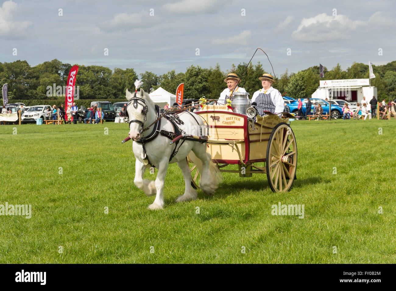 Heavy horse and milk cart turnout of The Little Dairy in the main ring at the Lancashire Game and Country Fair 2015. Stock Photo