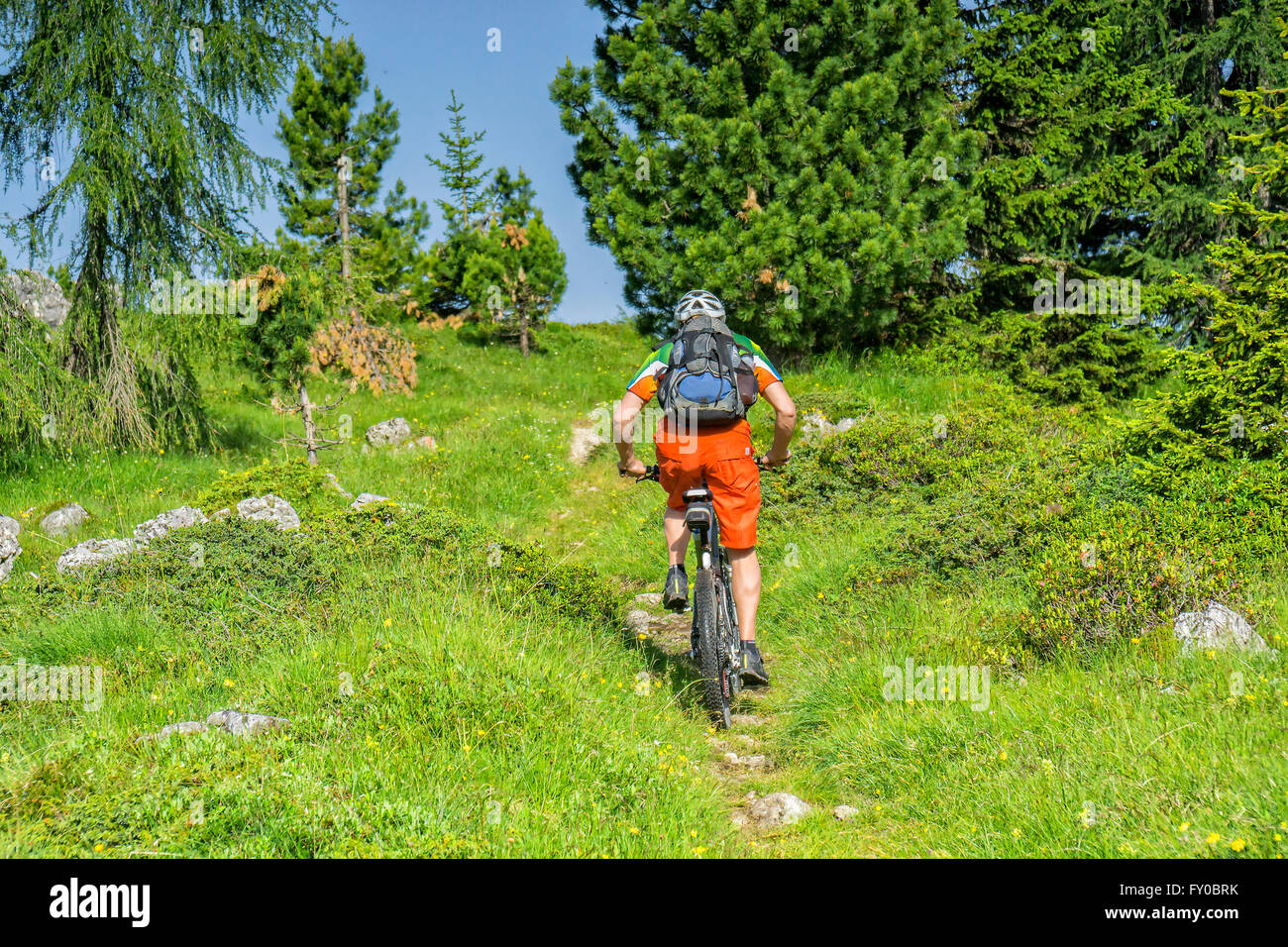 Bike traveler with rucksack rides a green trail uphill Stock Photo
