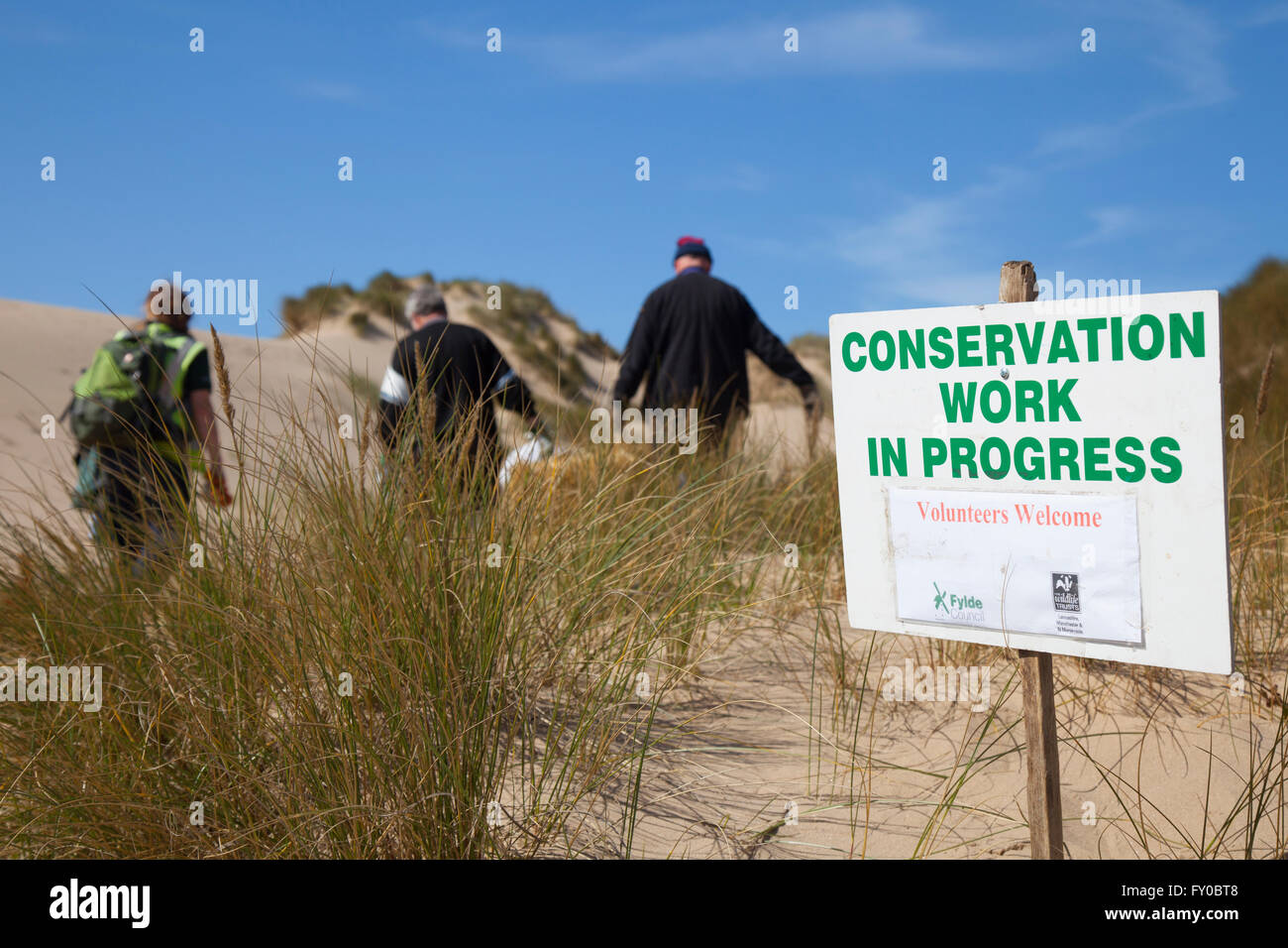 Volunteer Community 'work in progress' sand dune conservation