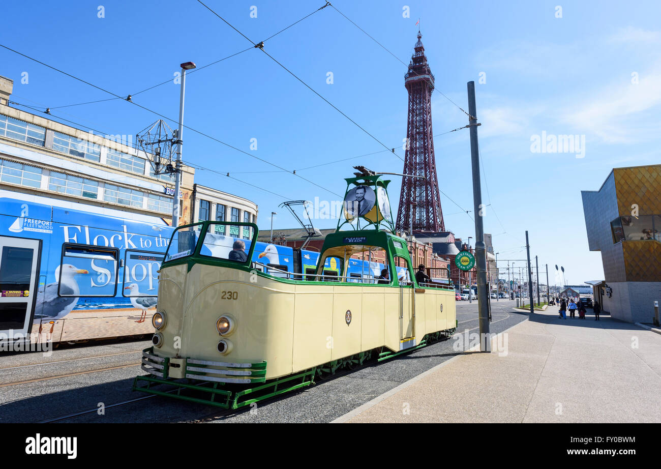 Under a blue sky, a modern tram and a heritage tram pass in front of the iconic Blackpool Tower in Blackpool, Lancashire Stock Photo