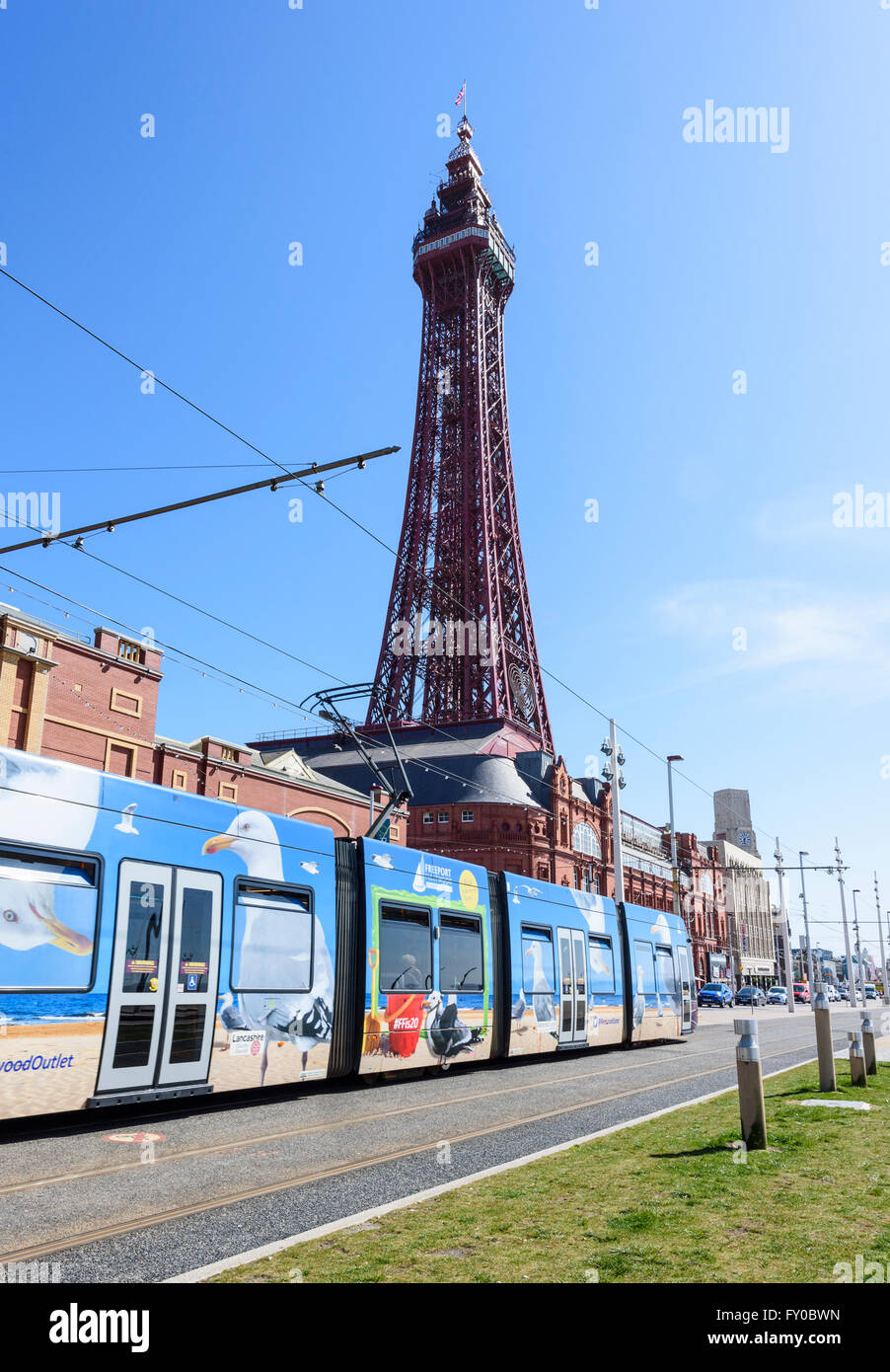 Under a blue sky, a modern tram passes in front of the iconic Blackpool ...