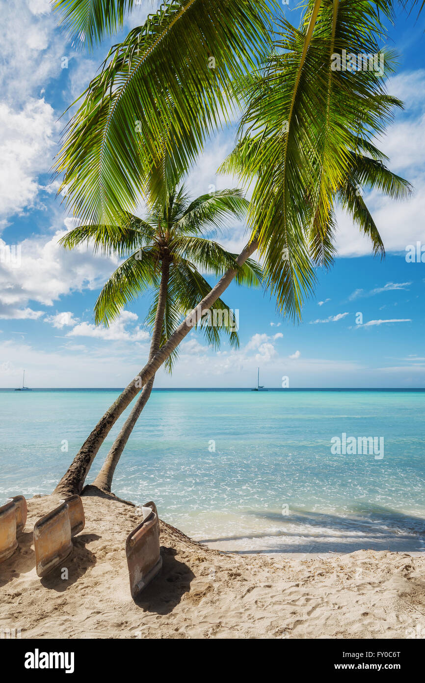 Tropical beach in Saona island, Dominican Republic Stock Photo