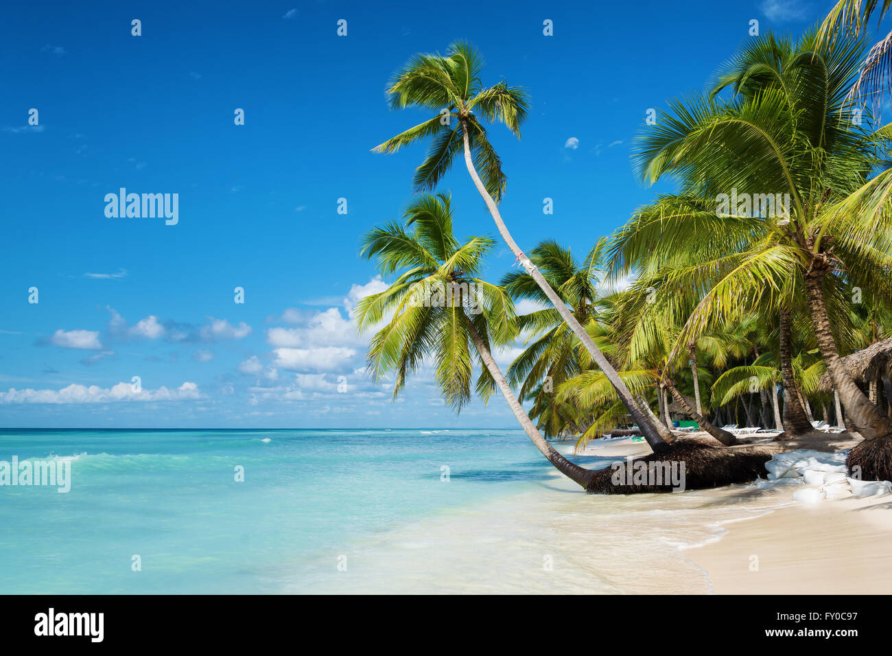 Caribbean beach in Saona island, Dominican Republic Stock Photo