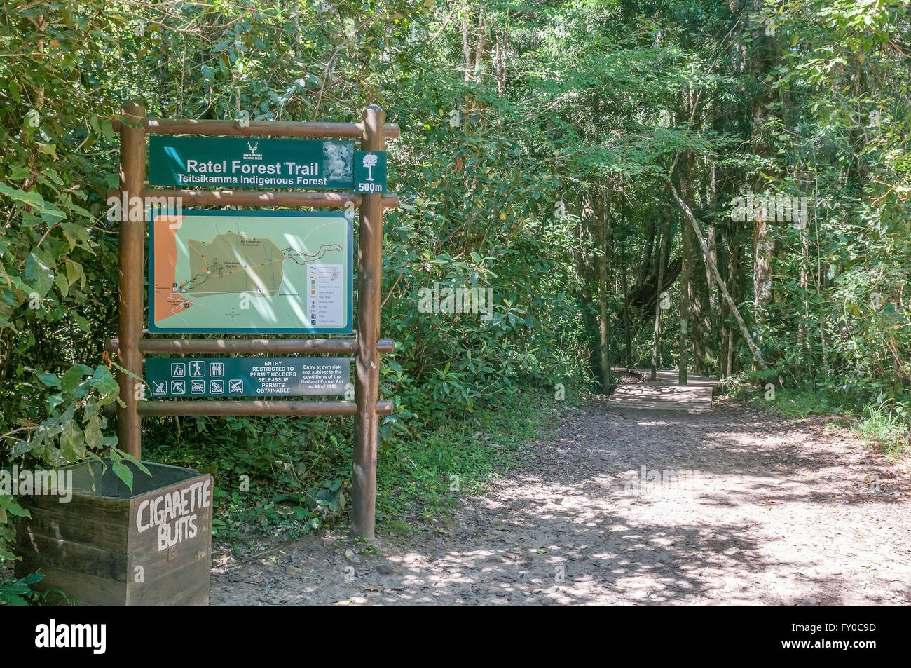 STORMS RIVER, SOUTH AFRICA - FEBRUARY 28, 2016:  Start of the trail to the 1000 year old yellowwood tree Stock Photo