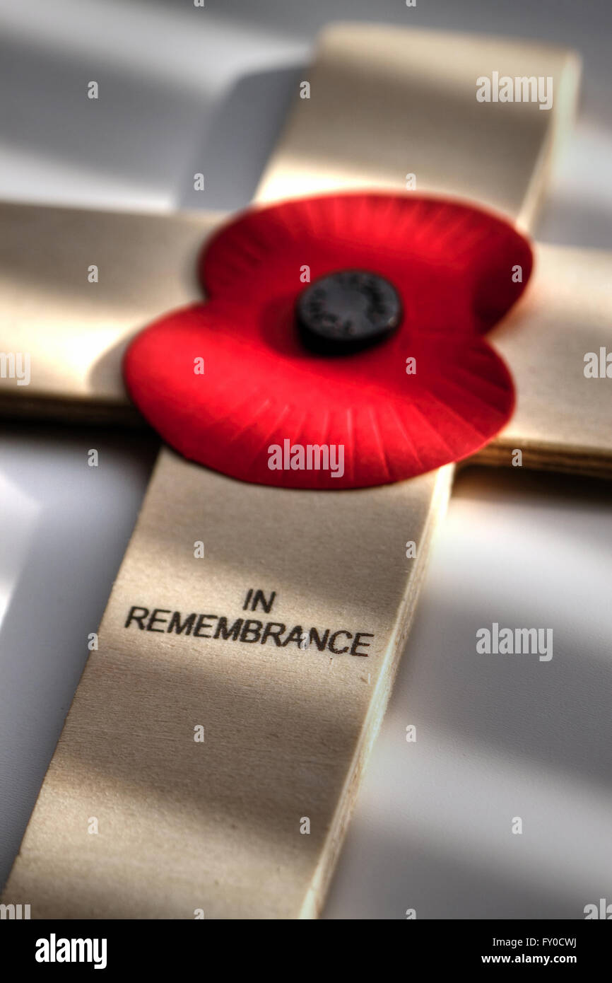Poppy remembrance day appeal Stock Photo