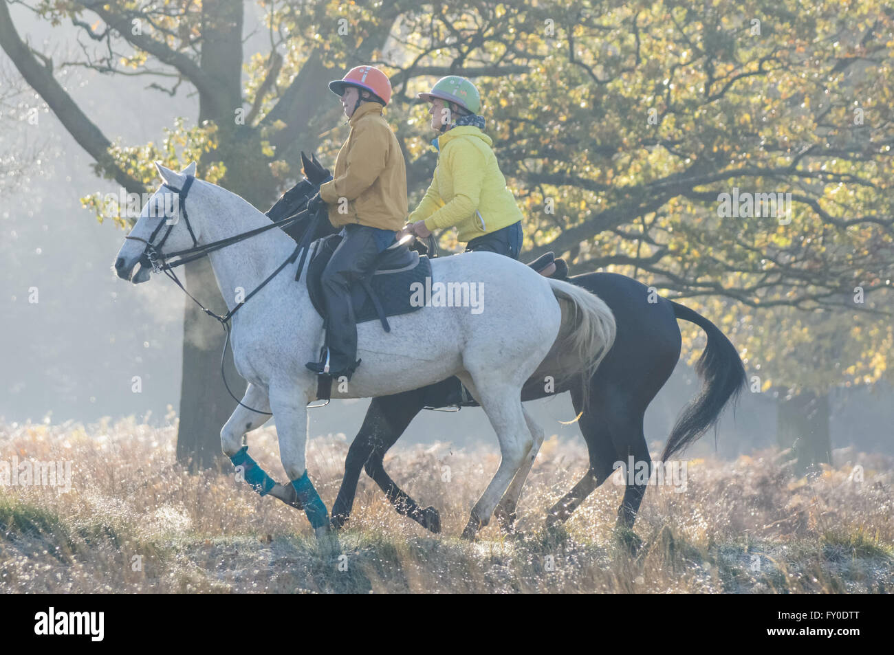 People horse riding in Richmond Park during misty morning, London England United Kingdom UK Stock Photo