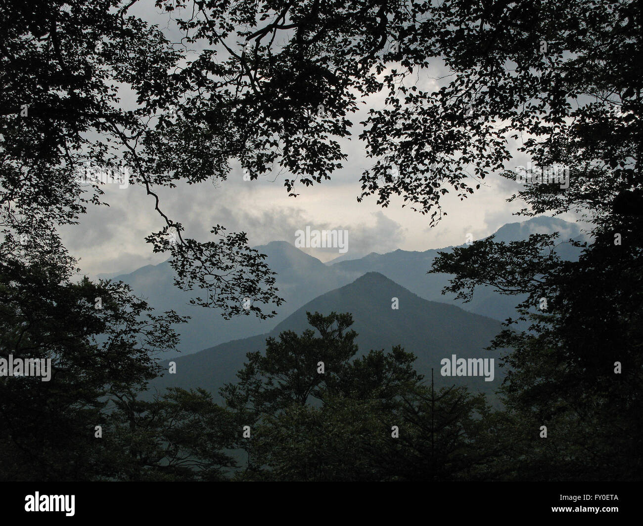 hills and trees near Mount Ishizuchi Ehime Japan Stock Photo