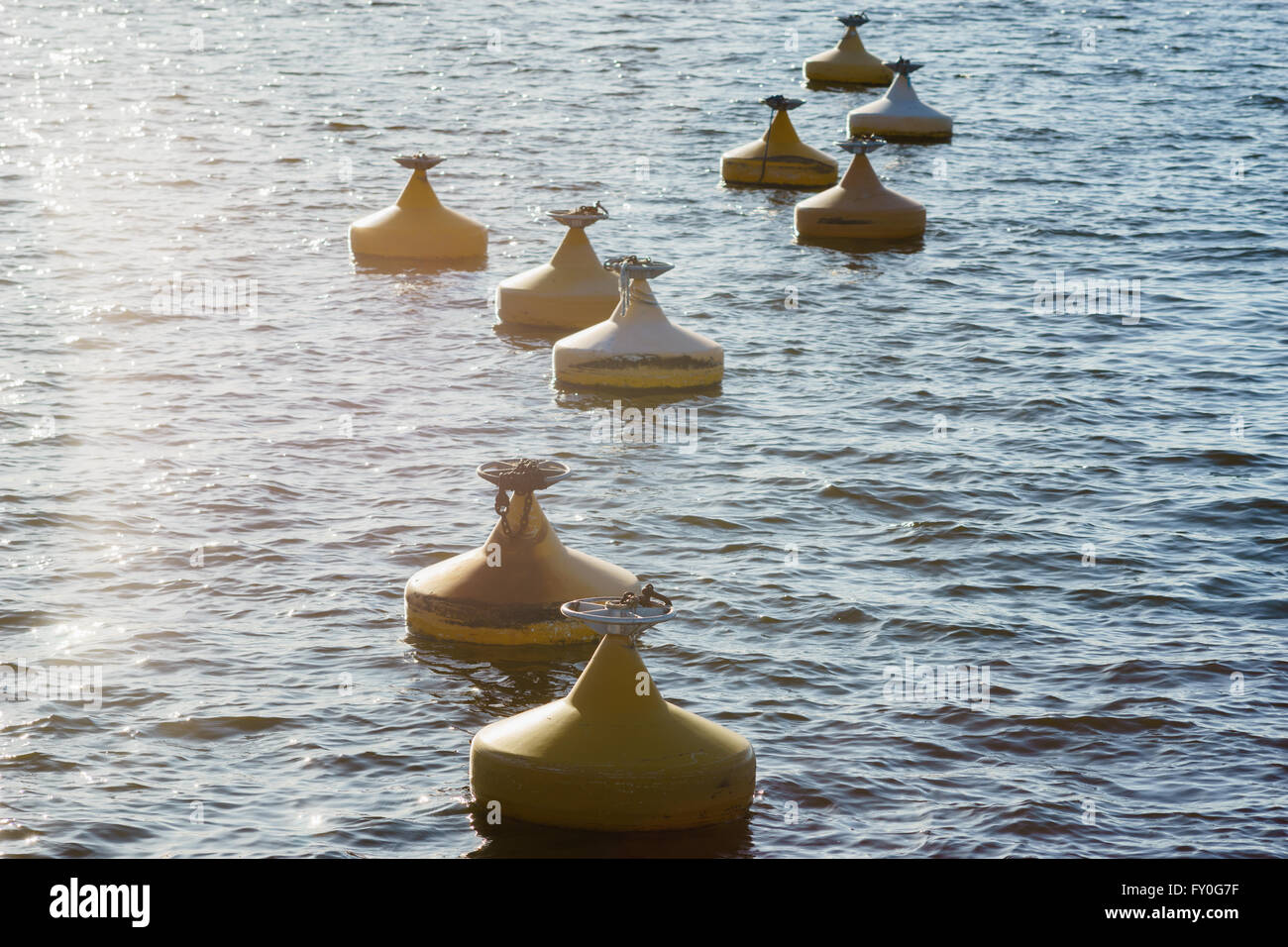 Lots of yellow buoys floating on water in marina Stock Photo