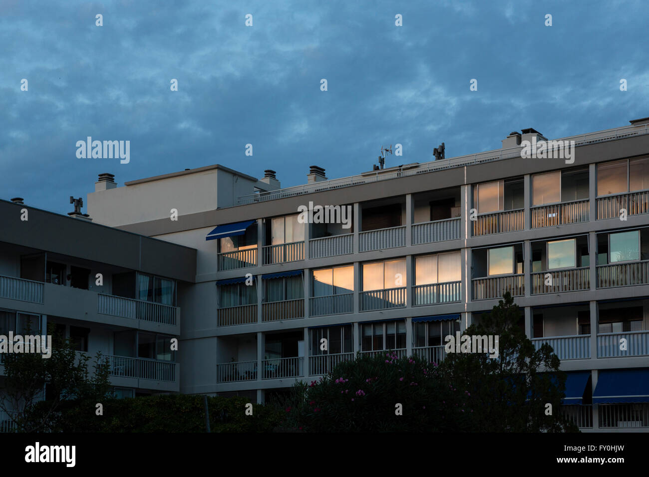 Apartment buildings and palm trees, France Stock Photo - Alamy