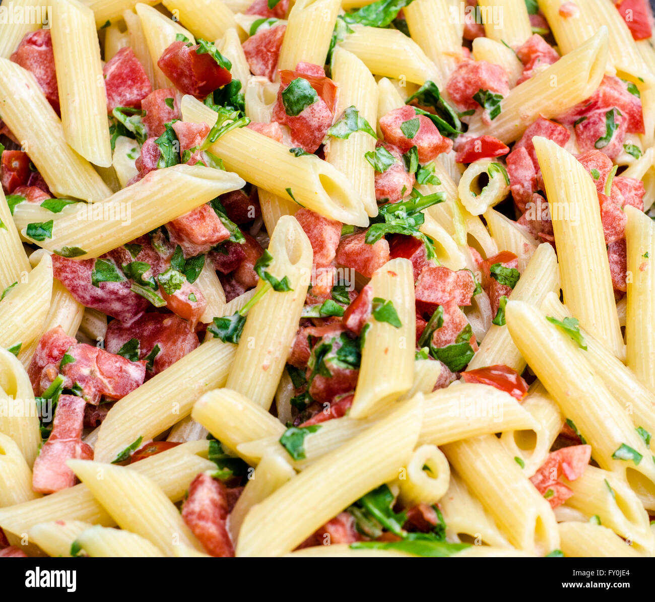 Italian Food: Pasta called mezze pennette with tomatos in pieces and ...