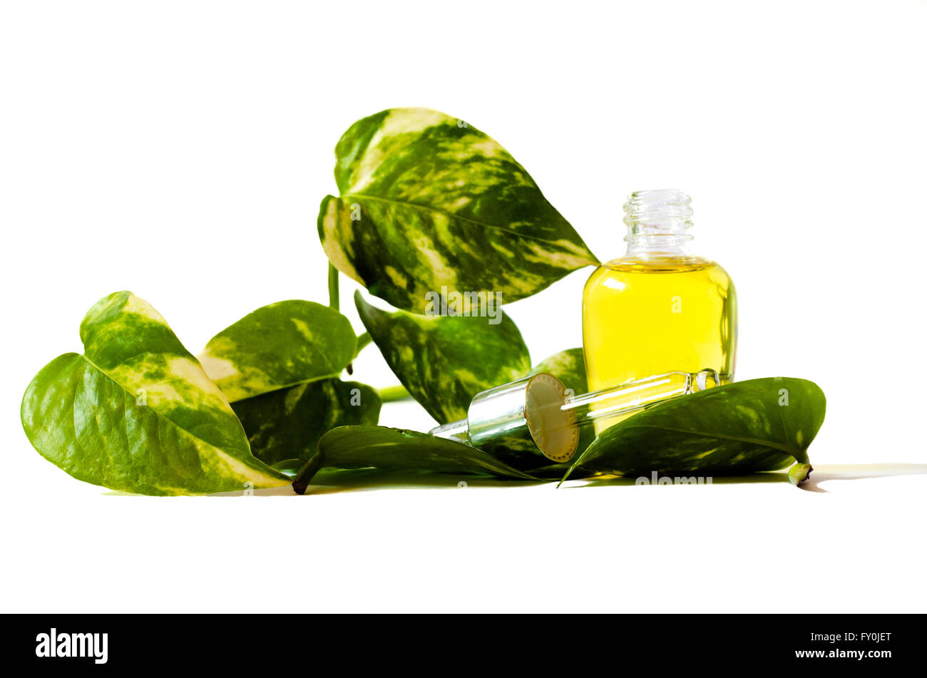 spa still-life with spa oil, and green leaves isolated on white for natural cosmetic Stock Photo