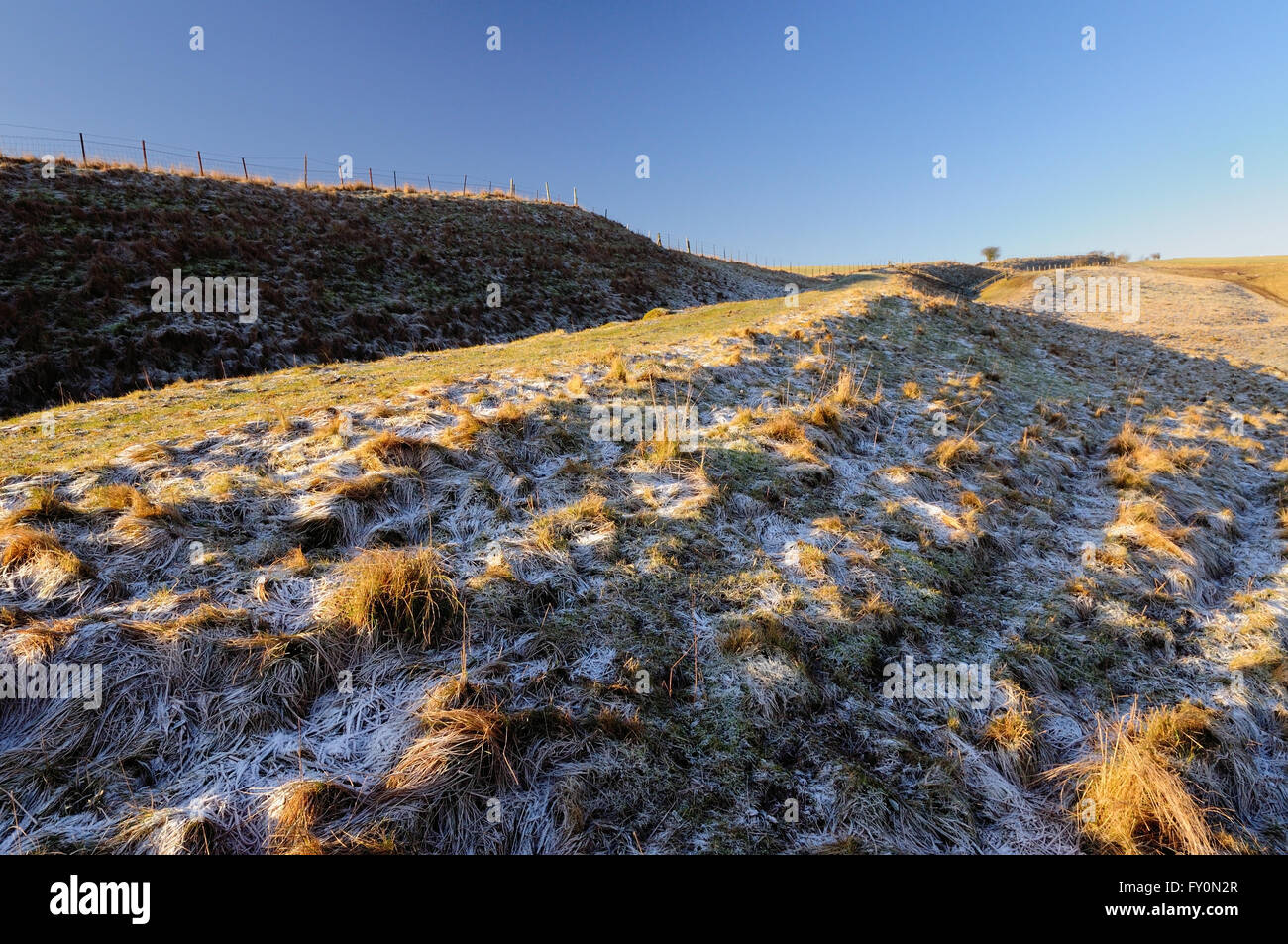 A frosty morning along the Wansdyke ancient earthwork on the Wiltshire Downs. Stock Photo