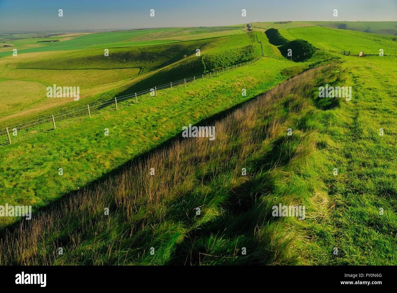 The Wansdyke ancient earthwork on the Wiltshire Downs, looking towards Milk hill, the highest point in Wiltshire. Stock Photo