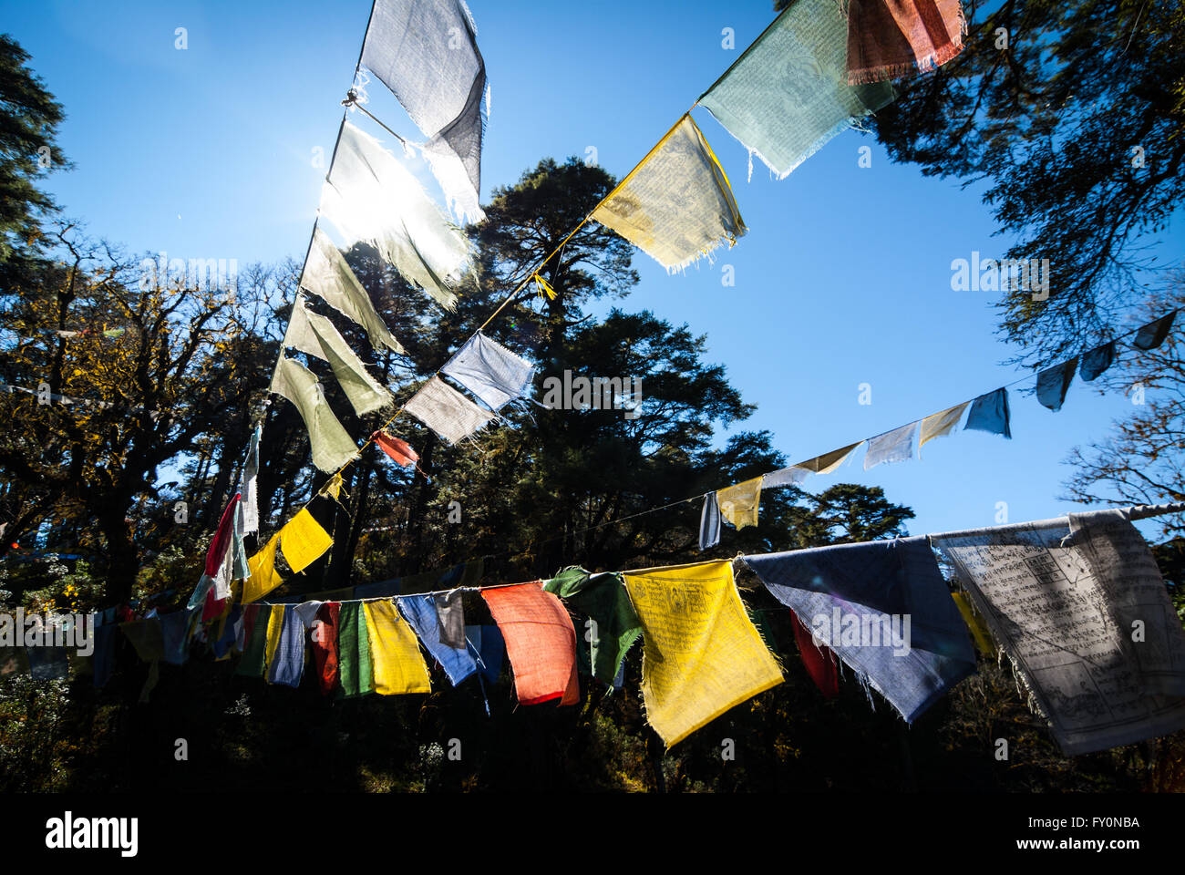Masses of colourful prayer flags at Dochu La, a 3140-m pass on the road between Thimphu and Punakha in western Bhutan Stock Photo