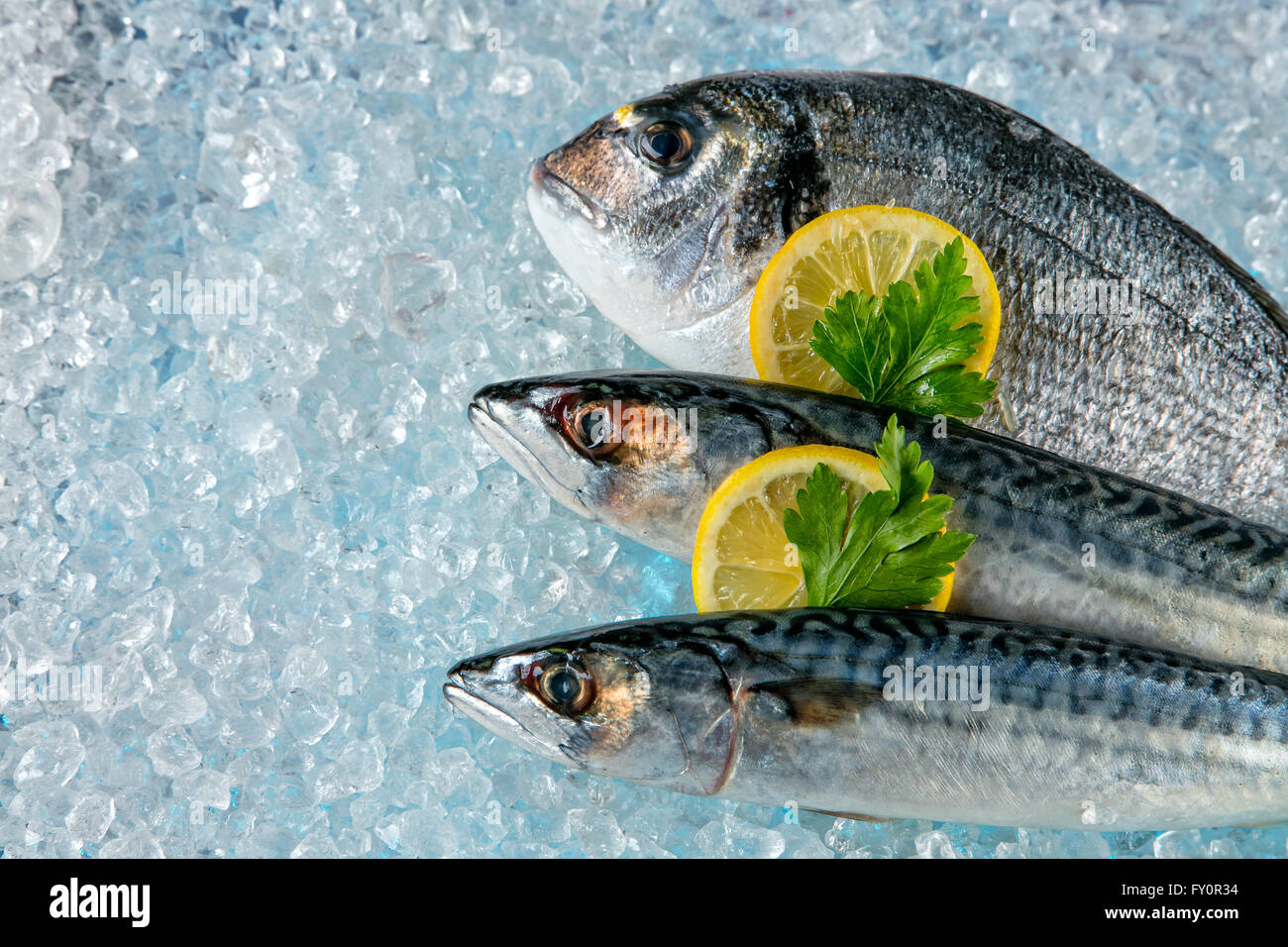 Fish placed on ice drift Stock Photo